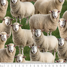 Load image into Gallery viewer, Merino Muster II - Sheep