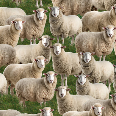 Merino Muster II - Sheep