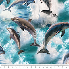 Marine Marvels - Dolphins