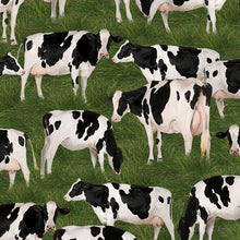 Load image into Gallery viewer, Merino Muster II - Holstein