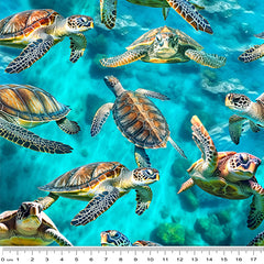 Marine Marvels - Turtles