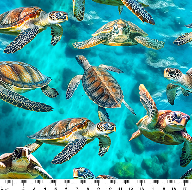 Marine Marvels - Turtles