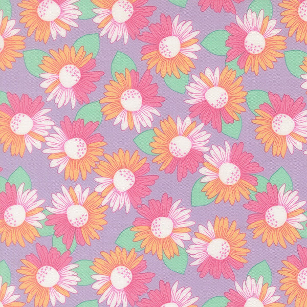 Joysome – Sunny Daisies Lavender
