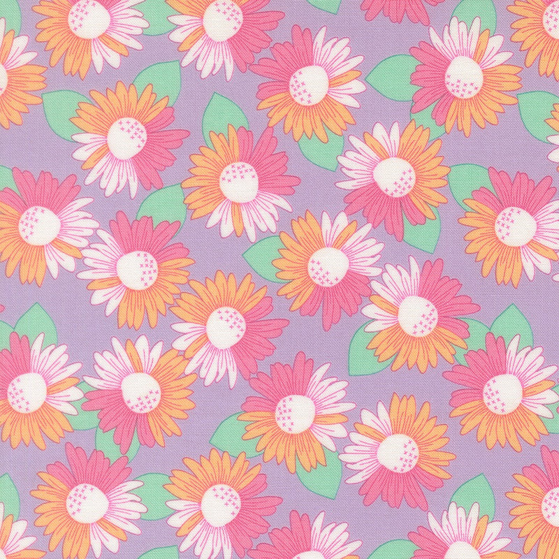 Joysome – Sunny Daisies Lavender