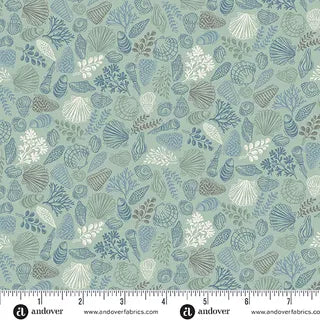Driftwood - Shells Green 176G