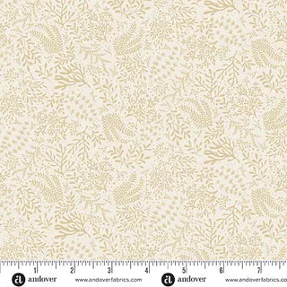 Driftwood - Seagrass Cream 178Q