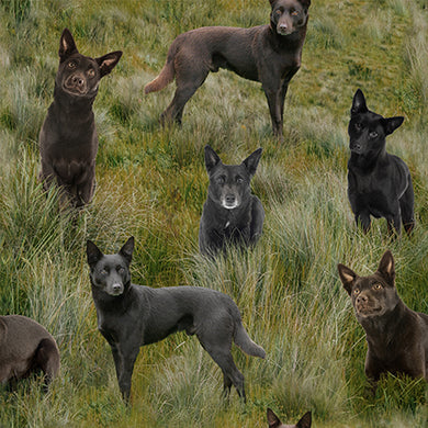 Merino Muster II - Kelpie Dogs