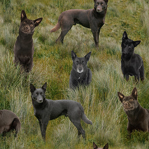 Merino Muster II - Kelpie Dogs