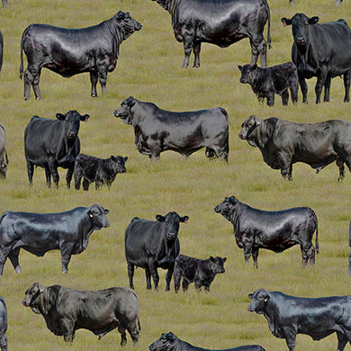 Merino Muster II - Brangus