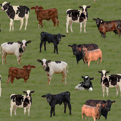 Merino Muster II - Calves