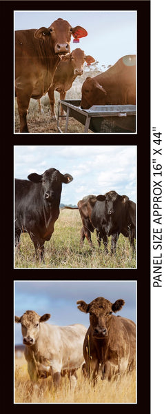 Merino Muster - Cow Panel