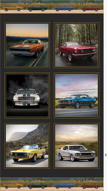 Vintage Vehicles Car Panel
