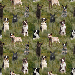 Merino Muster II - Mixed Dogs in Paddock