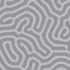 Wideload - Bio Grey - 108