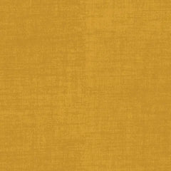 Building Block Basics Texture - Bongo