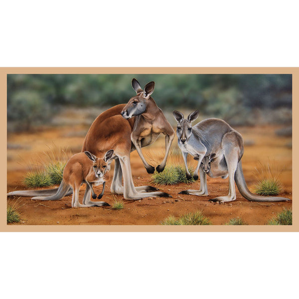 Wildlife Art - Kangaroos - DV3185