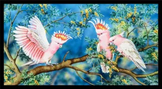 Wildlife Art - Galahs - DV3703