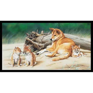 Wildlife Art - Dingoes - DV3704