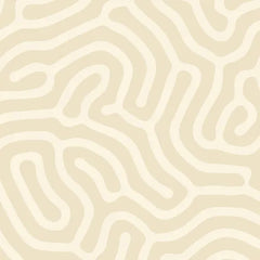 Wideload - Bio Cream - 108
