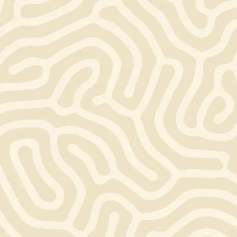 Wideload - Bio Cream - 108