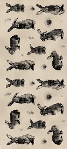 Hareloom - DV7285 - 50cm repeat