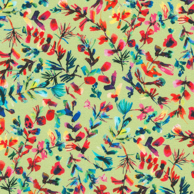 Flora & Fun - Ferns on Meadow
