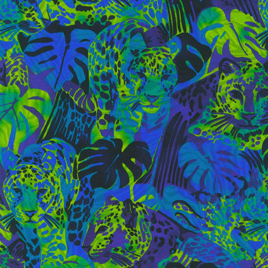 Midnight in the Jungle - Leopards - Midnight