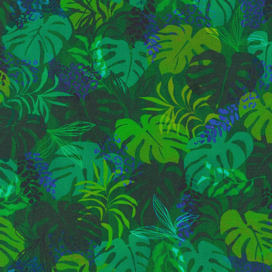 Midnight in the Jungle - Leaves - Fern