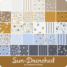 Load image into Gallery viewer, Sun Drenched - 2.5 inch Jelly Roll - 40 pieces