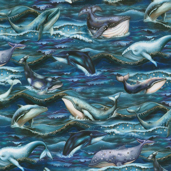 Ocean Fantasy - Whale Song – Midnight