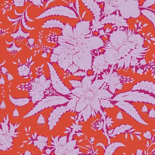 Abloom - Tomato
