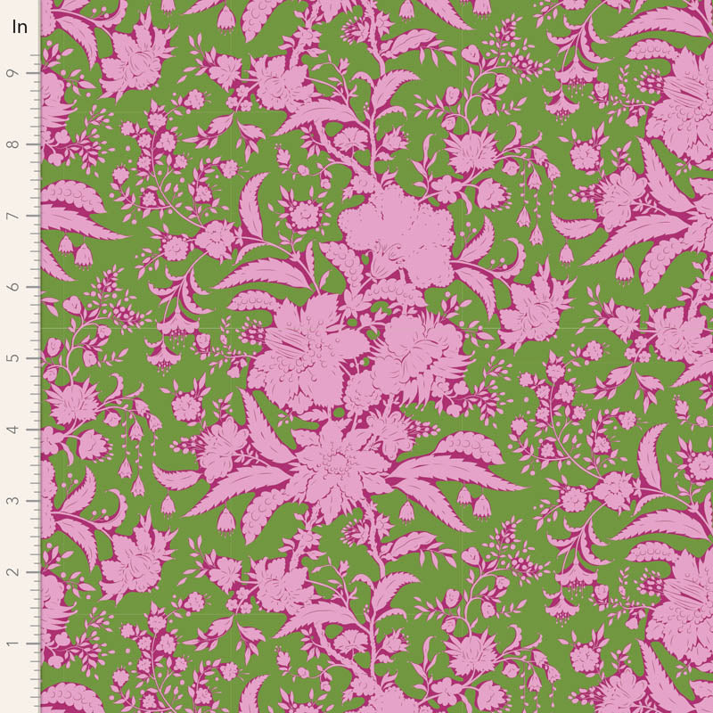 Abloom - Fern