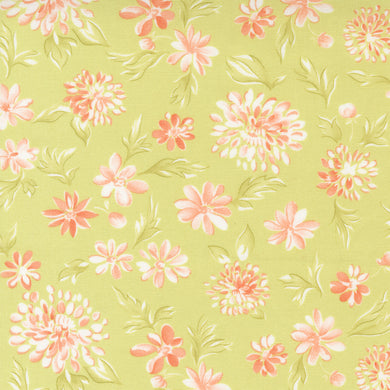 Cinnamon & Cream - Sprout Mums