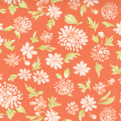 Cinnamon & Cream - Coral Mums
