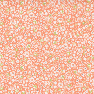 Cinnamon & Cream - Coral Fall Meledy