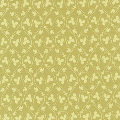 Cinnamon & Cream - Olive Acorn Vines