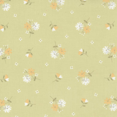 Buttercup & Slate - Daisy - Sprig