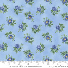 Summer Breeze 2023 - Tossed Bouquet - Sky