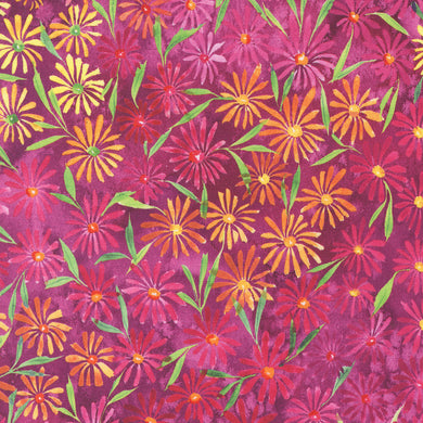 Eufloria - Dahlia Kaleidabloom