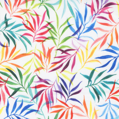 Eufloria - Rainbow Fern