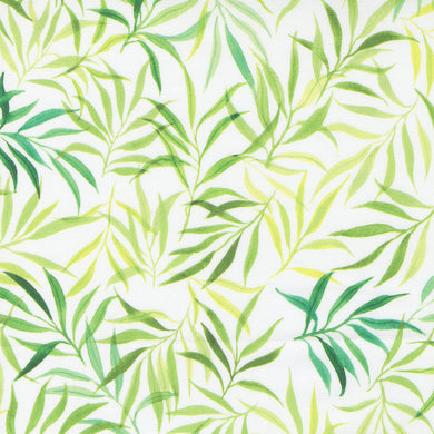 Eufloria - Peridot Fern