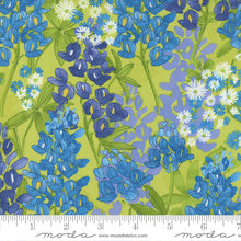 Load image into Gallery viewer, Wild Blossoms - Bluebonnet - Sunlit