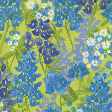 Load image into Gallery viewer, Wild Blossoms - Bluebonnet - Sunlit