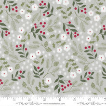 Load image into Gallery viewer, Christmas Eve - Winter Botanical - Silver