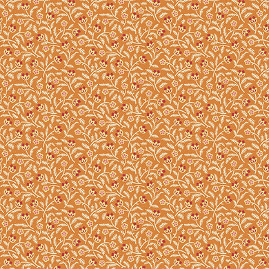 Lady Tulip - Gossip - Tangerine
