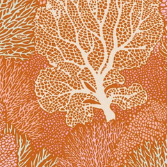 Cotton Beach - Coral Reef Ginger