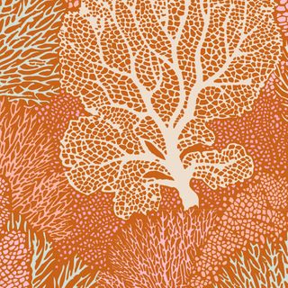 Cotton Beach - Coral Reef Ginger