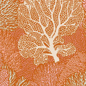 Cotton Beach - Coral Reef Ginger