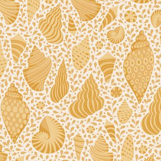 Cotton Beach - Shells Honey