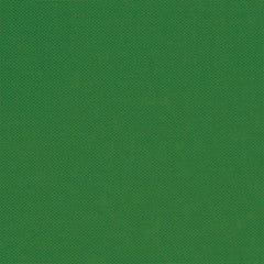 Devonstone Solid - Crocodile Green